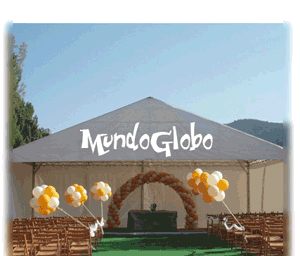 Boda de Daniel y Silvia