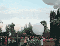 Boda MundoGlobo