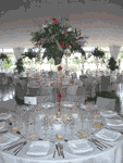 Boda MundoGlobo