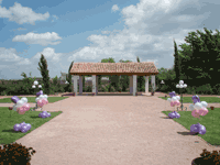 Topiary de coraz�n para exterior