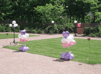 Topiary de coraz�n para exterior con flor de corazones al fondo