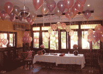 Fiesta de quince a�os