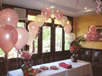 Fiesta de quince a�os