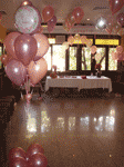 Fiesta de quince a�os