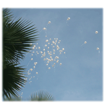 Decoraci�n de globos para boda