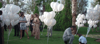 Boda MundoGlobo
