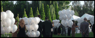 Boda MundoGlobo