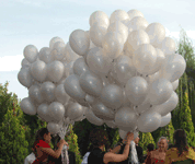 Boda MundoGlobo