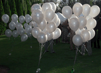 Boda MundoGlobo