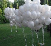 Boda MundoGlobo