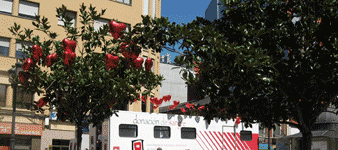 Campa�a de donaci�n de sangre