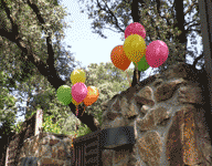 Fiesta primaveral para celebrar el cumplea�os de Rima