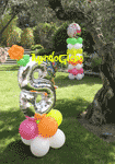 Fiesta primaveral para celebrar el cumplea�os de Rima