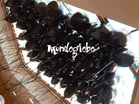 Comuni�n MundoGlobo
