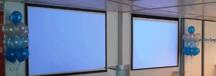 Presentaci�n empresarial New Europe