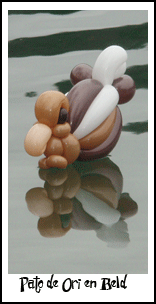 Un pato m�s en el lago de Beld