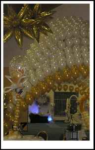 Cannopie m�gico de entrada para los novios